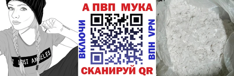 Альфа ПВП СК КРИС  Кашин 