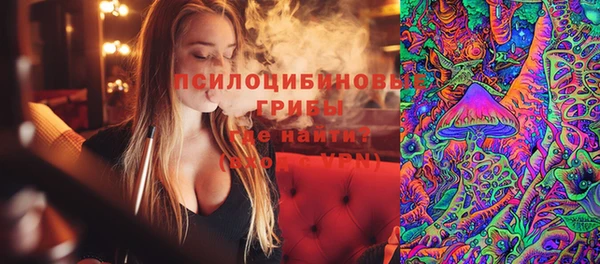 прущие грибы Семикаракорск