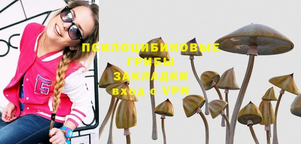 Альфа ПВП Заволжск