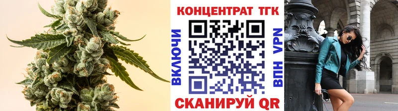 ТГК Wax  мориарти Telegram  Кашин 